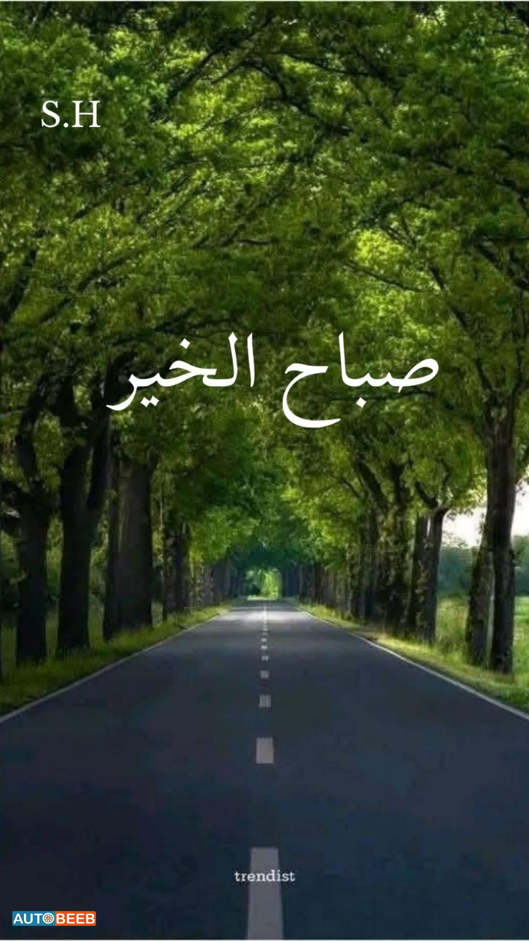 هيونداي ايونيك 2018
