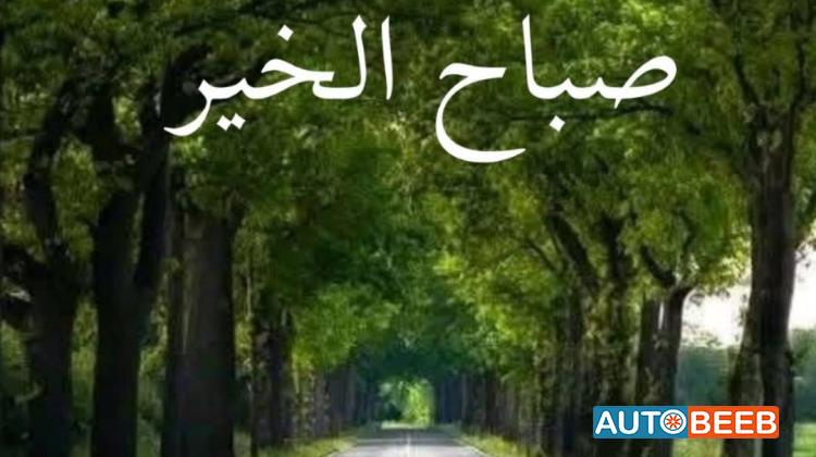 هيونداي ايونيك 2018