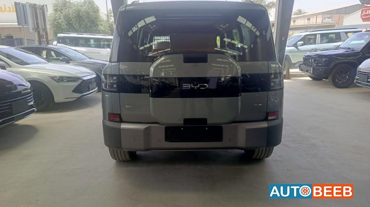 BYD  2026