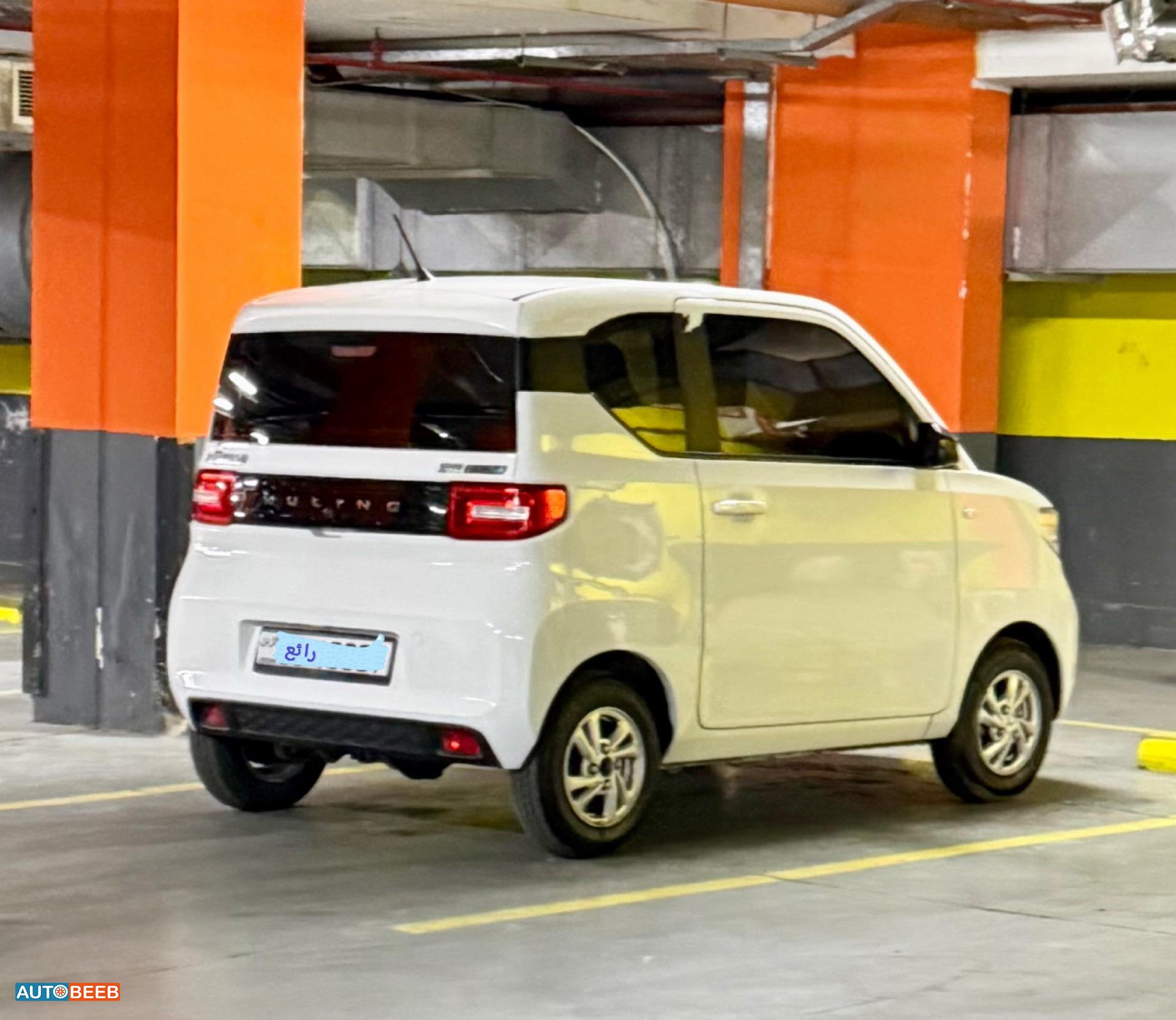 وولينغ ماكرون ميني EV 2021