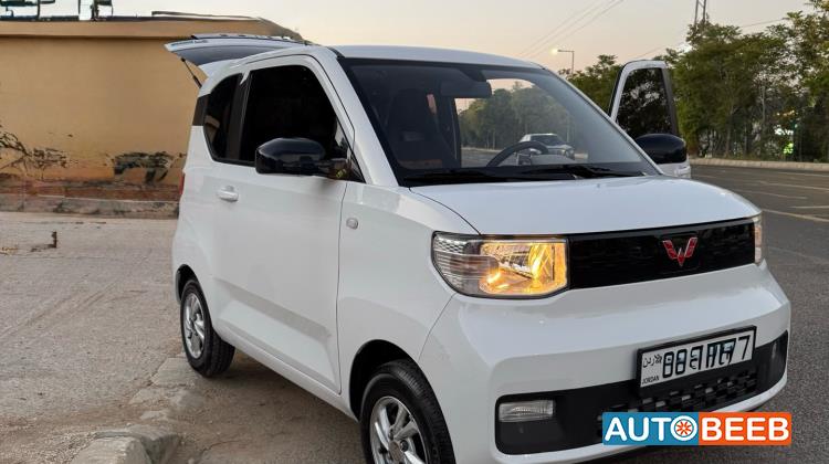 وولينغ ماكرون ميني EV 2021