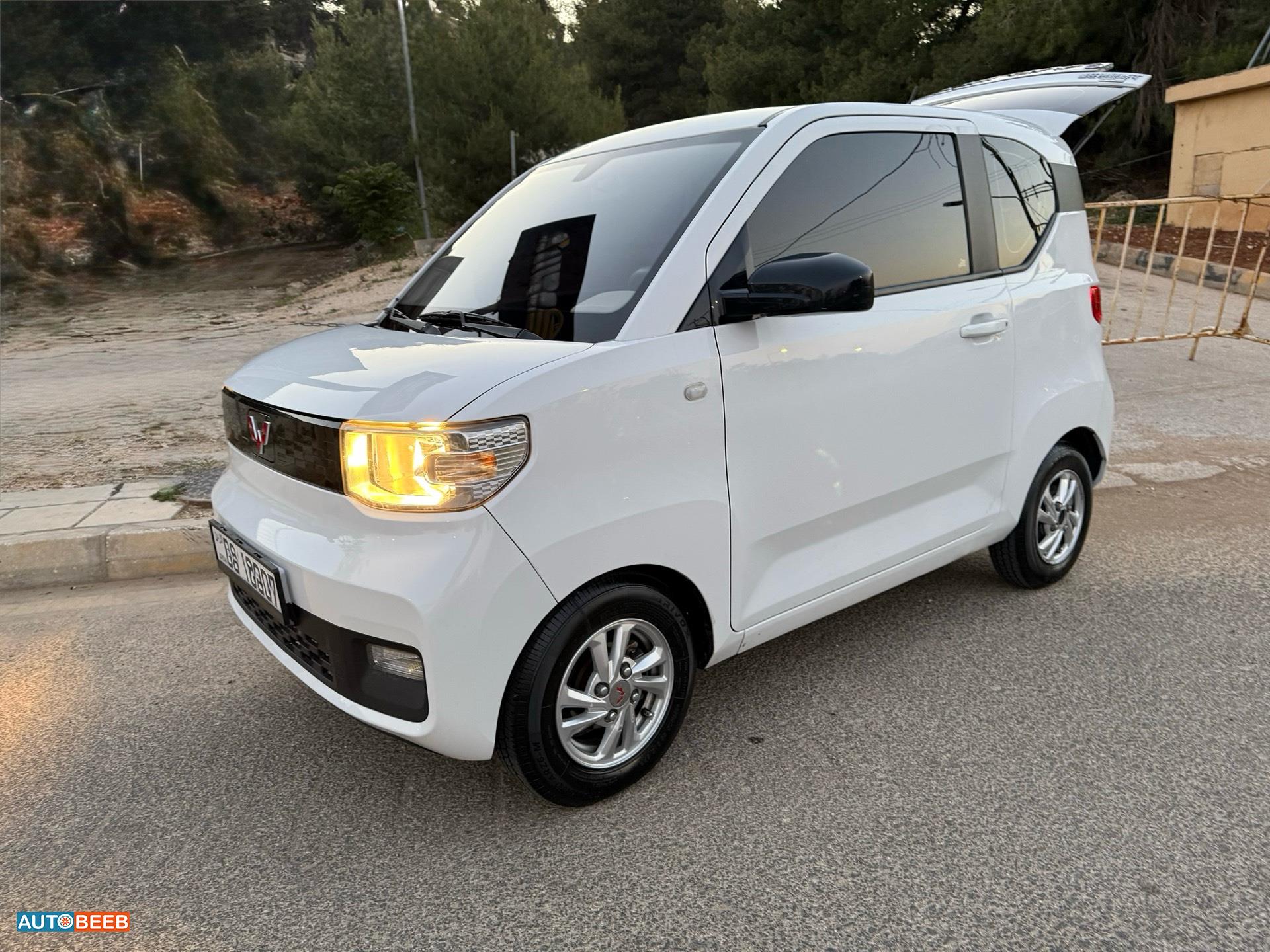 وولينغ ماكرون ميني EV 2021
