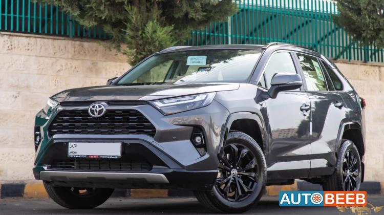 Toyota RAV4 2025