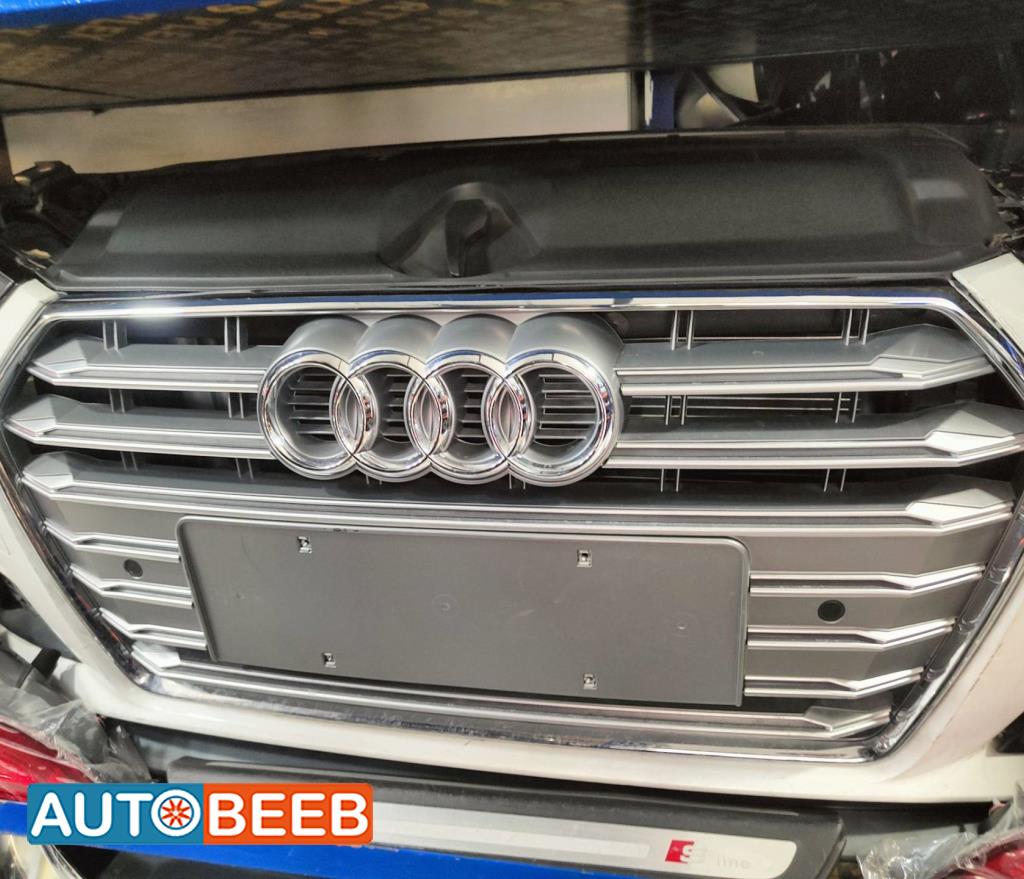Body  Grilles Audi A4