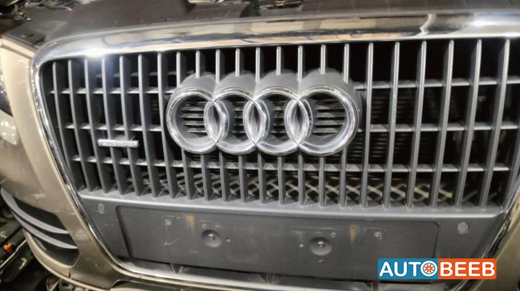 Body  Grilles Audi Q5