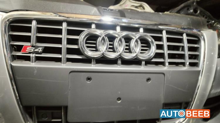 Body  Grilles Audi S4