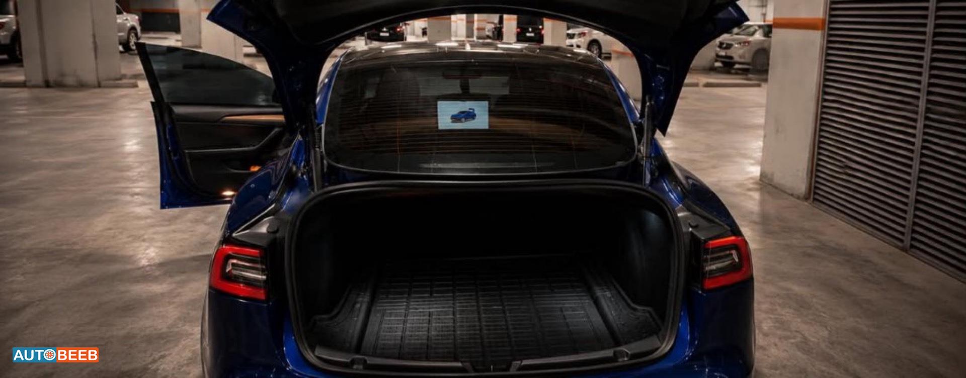 Tesla 3 2022