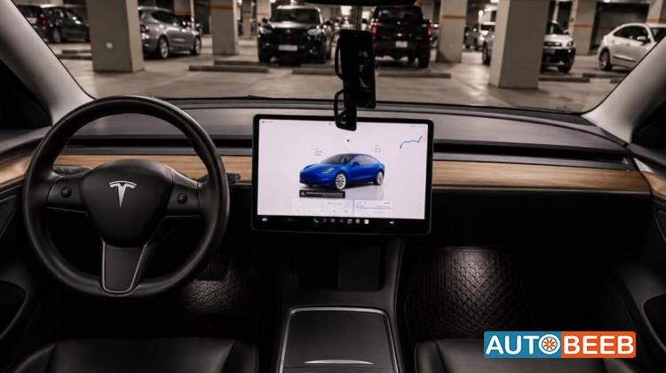 Tesla 3 2022