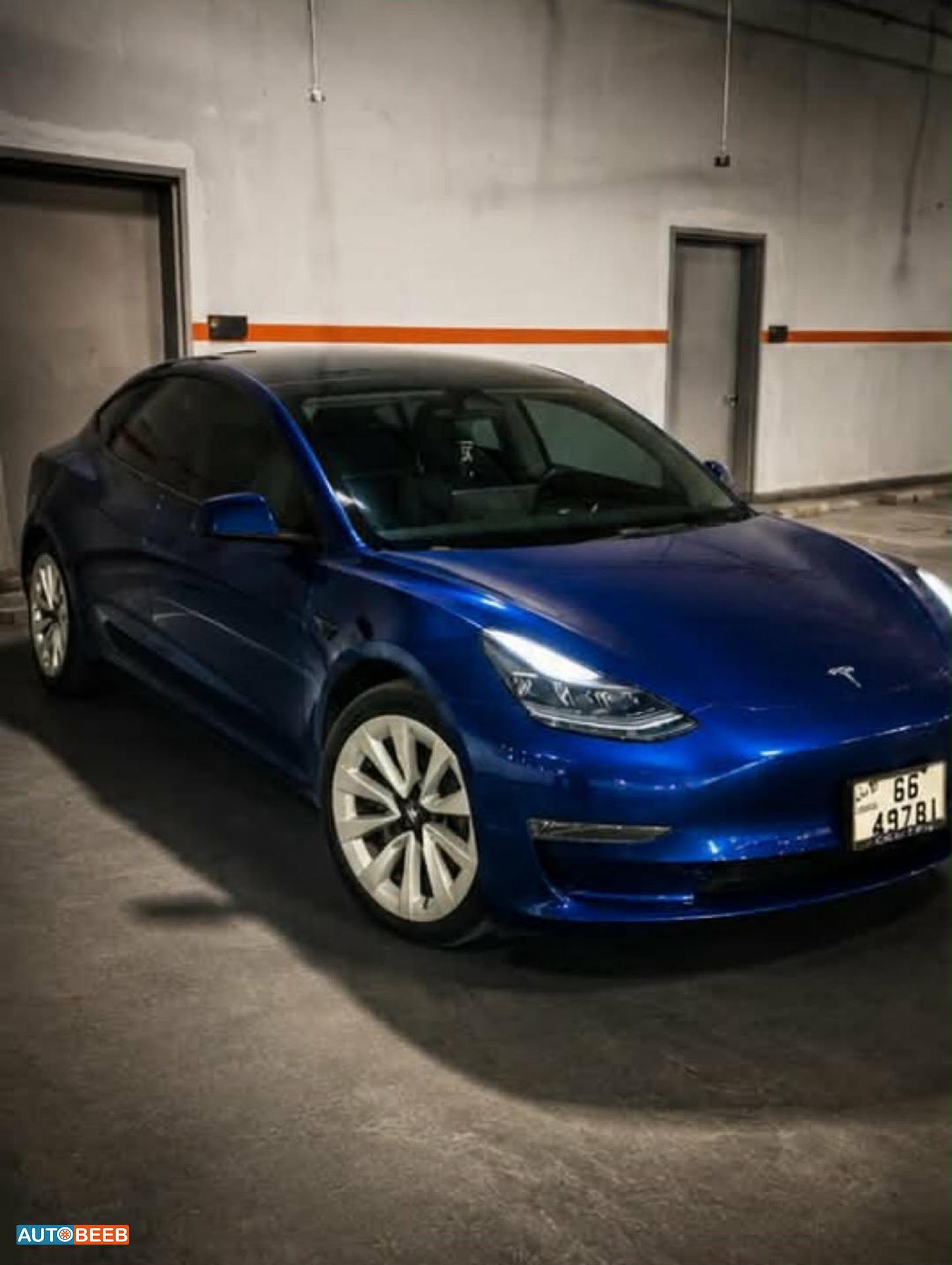 Tesla 3 2022