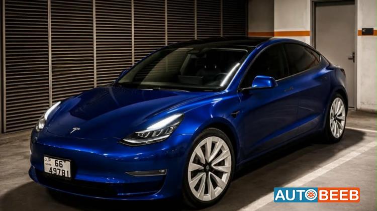 Tesla 3 2022