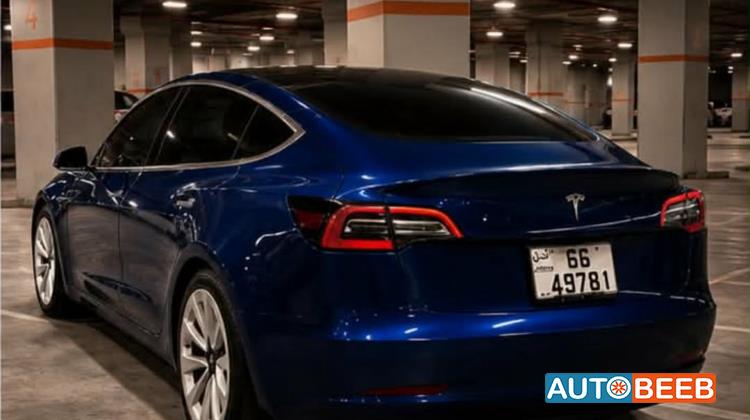 Tesla 3 2022