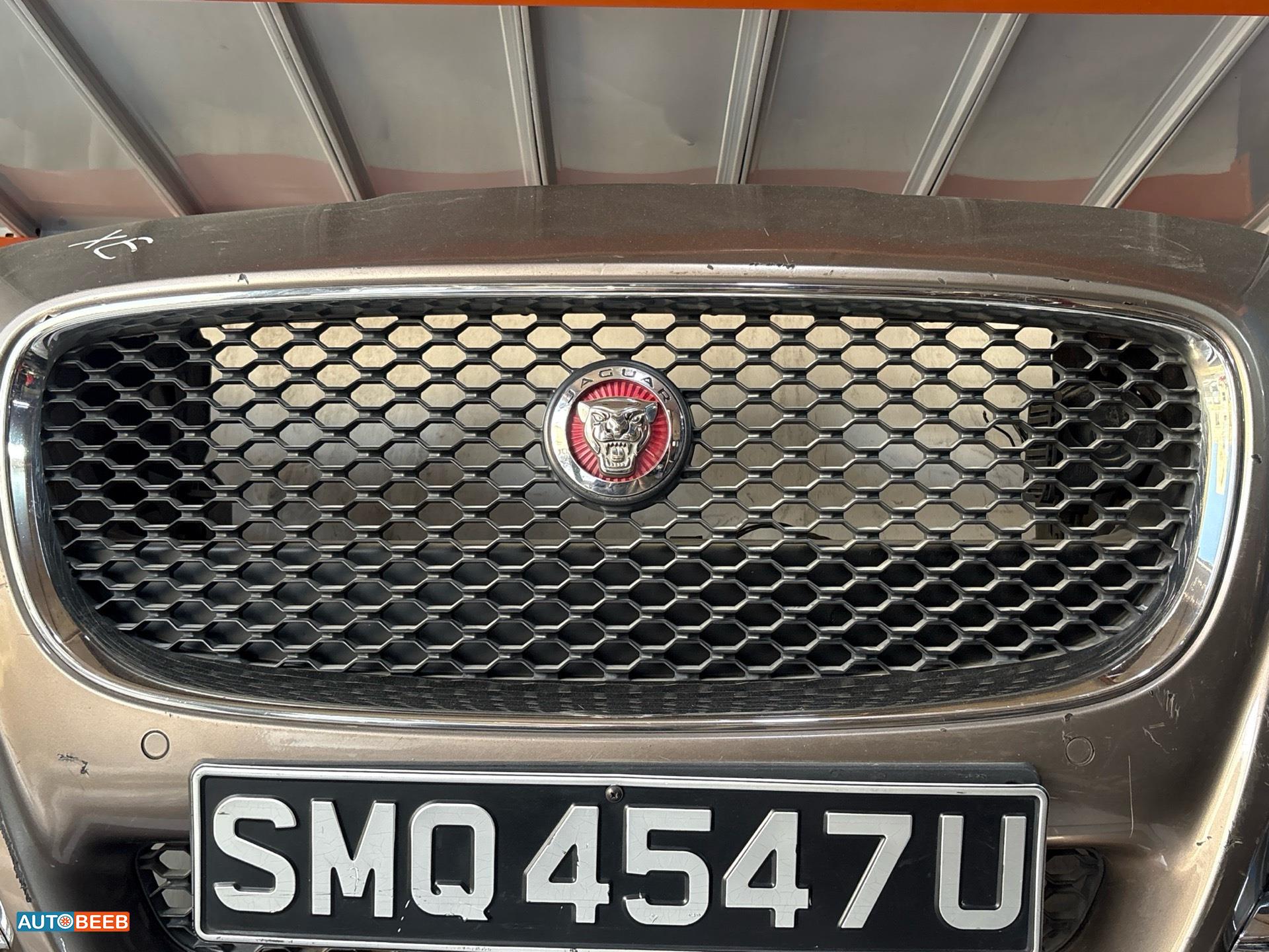 Body  Grilles Jaguar XF