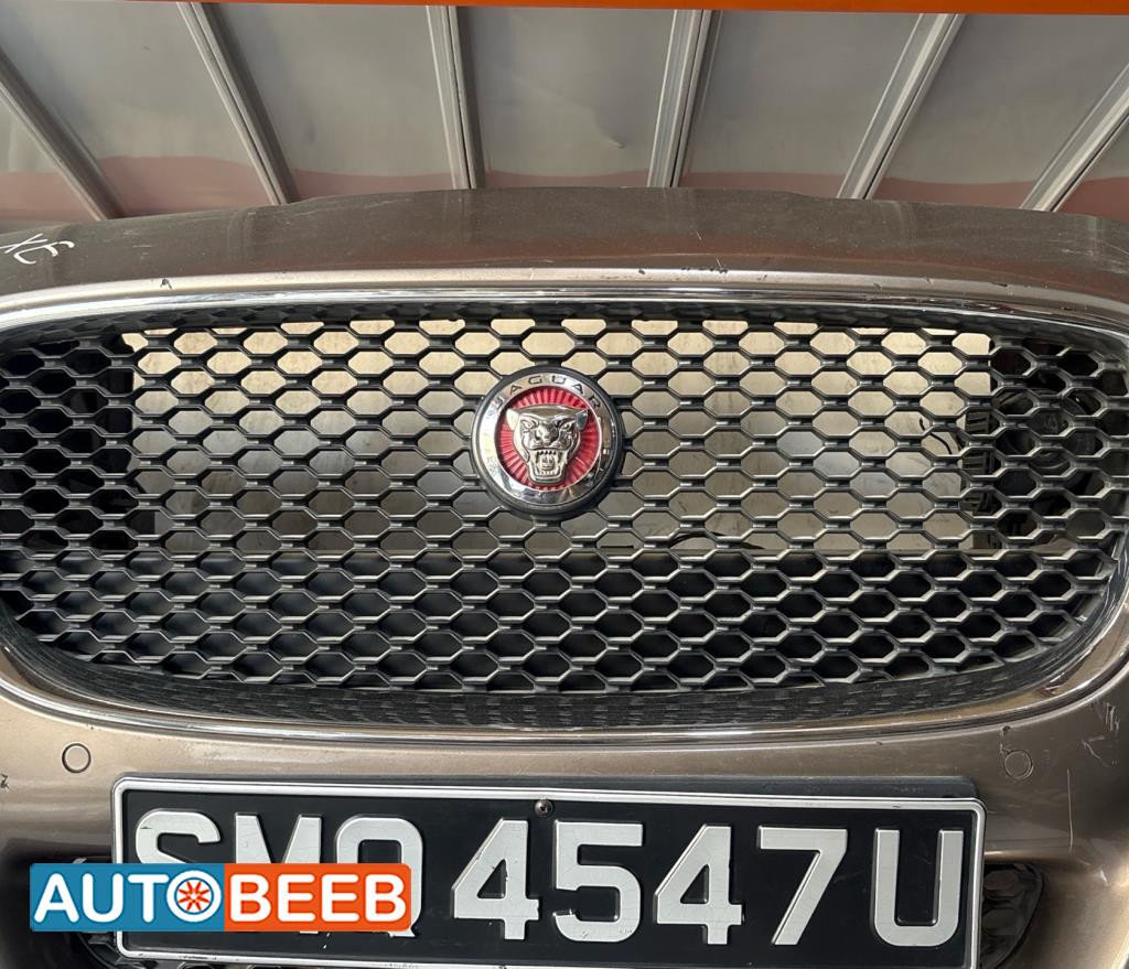 Body  Grilles Jaguar XF