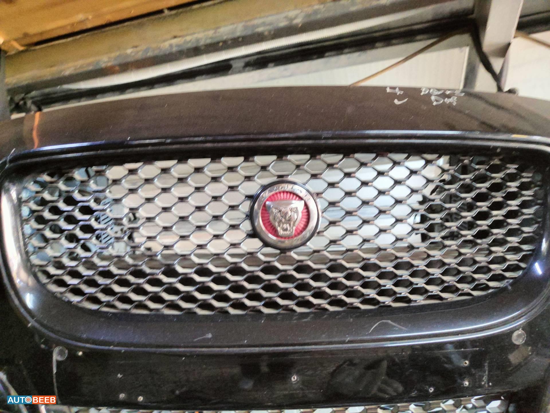 Body  Grilles Jaguar XE