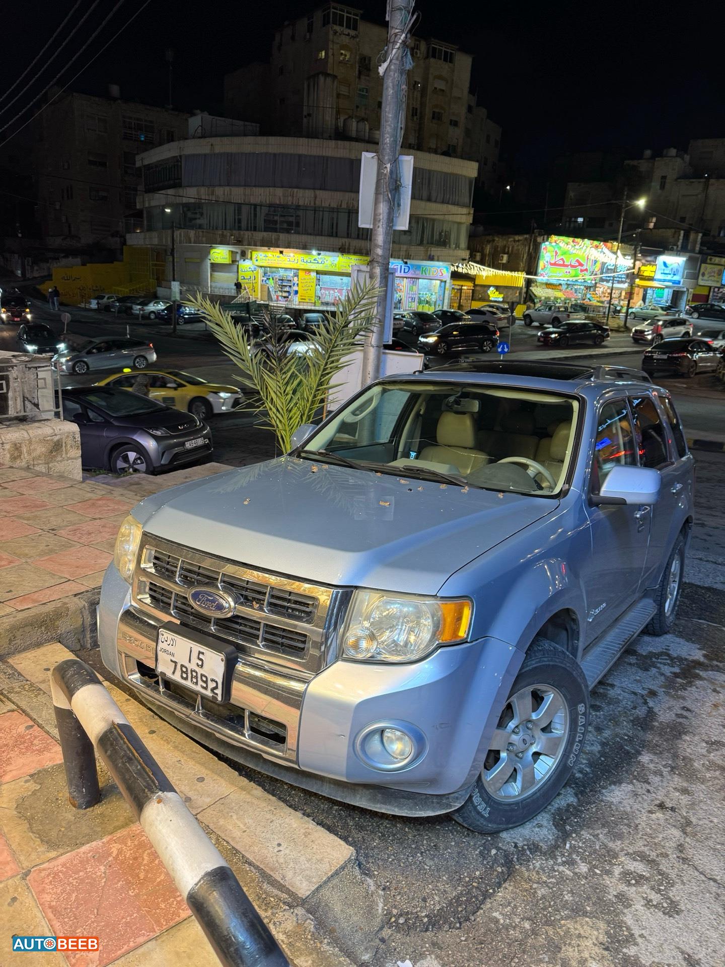فورد اسكايب 2009
