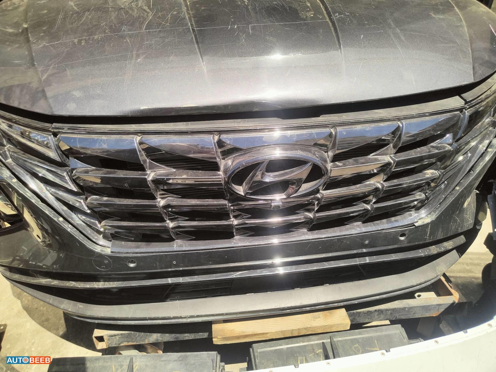Body  Grilles Hyundai Tucson