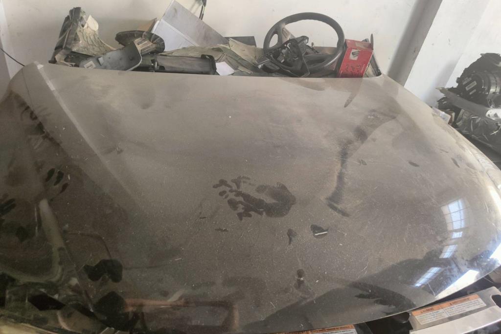 Body  Hood Ford Escape