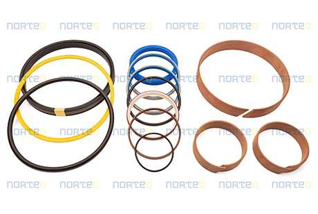 SEALING KIT WITH GUIDE RING