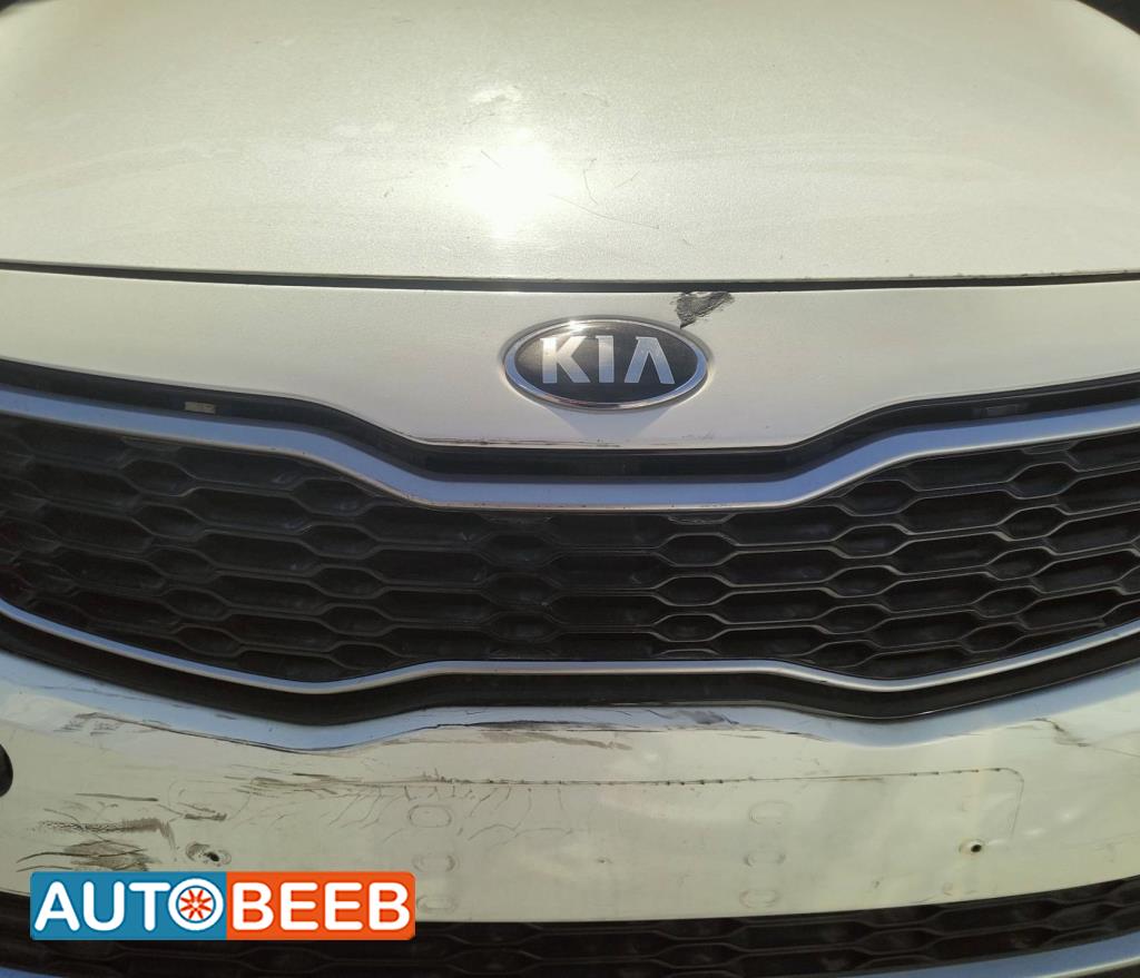 Body  Grilles KIA Optima