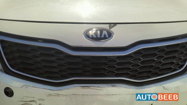 Body  Grilles KIA Optima