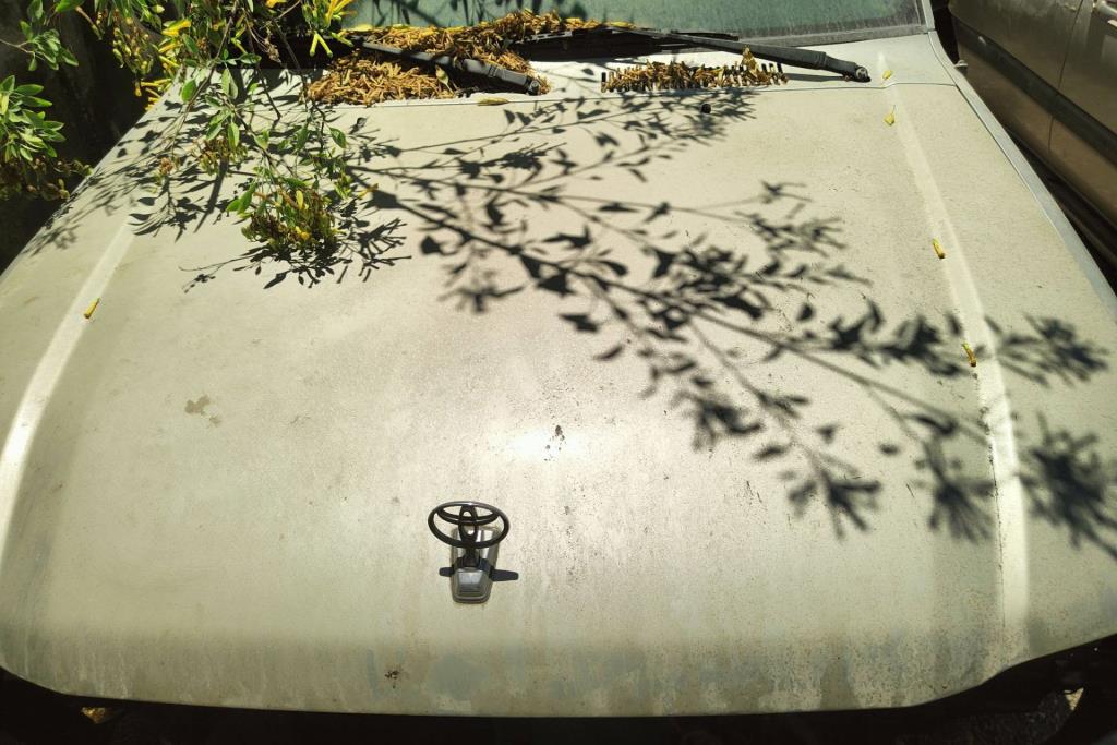 Body  Hood Toyota Prado