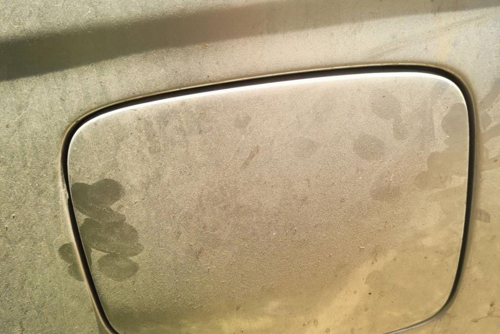 Body  Other Toyota Prado