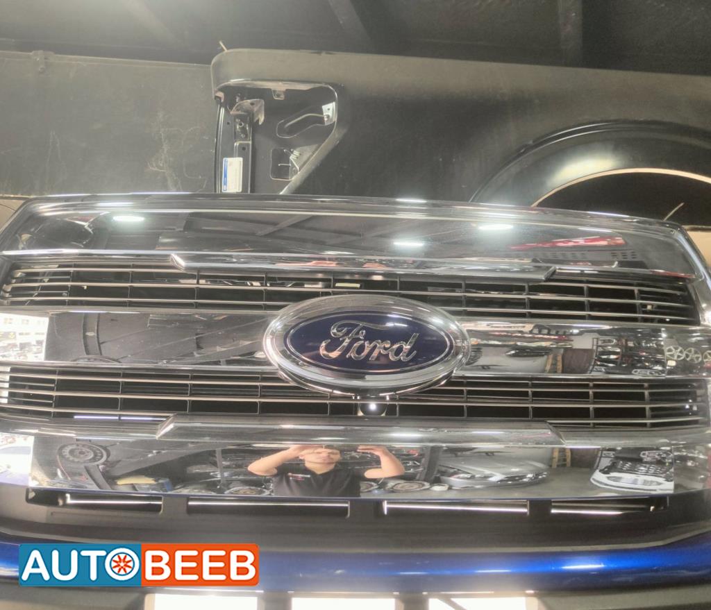 Body  Grilles Ford F-150