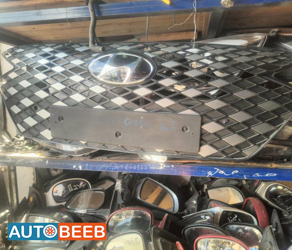 Body  Grilles Hyundai Azera