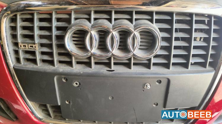Body  Grilles Audi A3