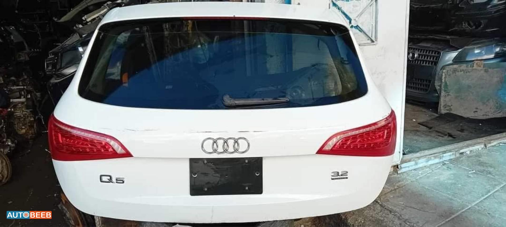 Body  Trunk Audi Q5