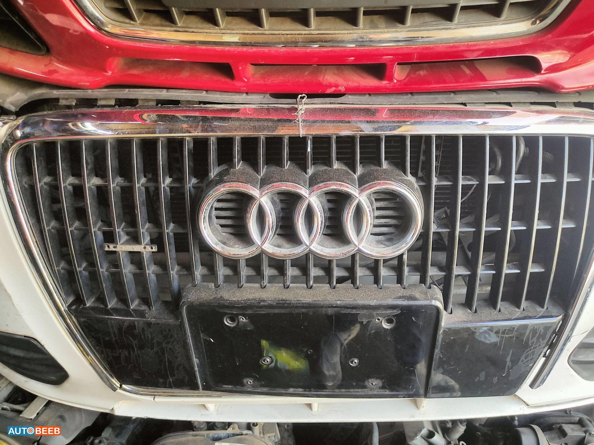 Body  Grilles Audi Q5