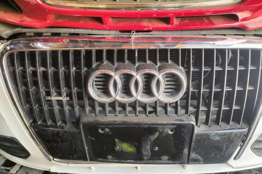 Body  Grilles Audi Q5
