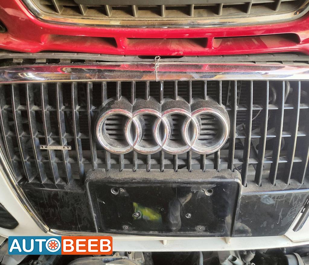 Body  Grilles Audi Q5