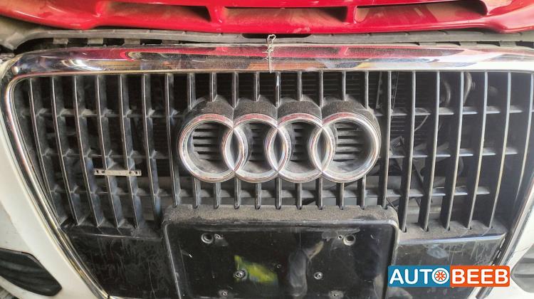 Body  Grilles Audi Q5