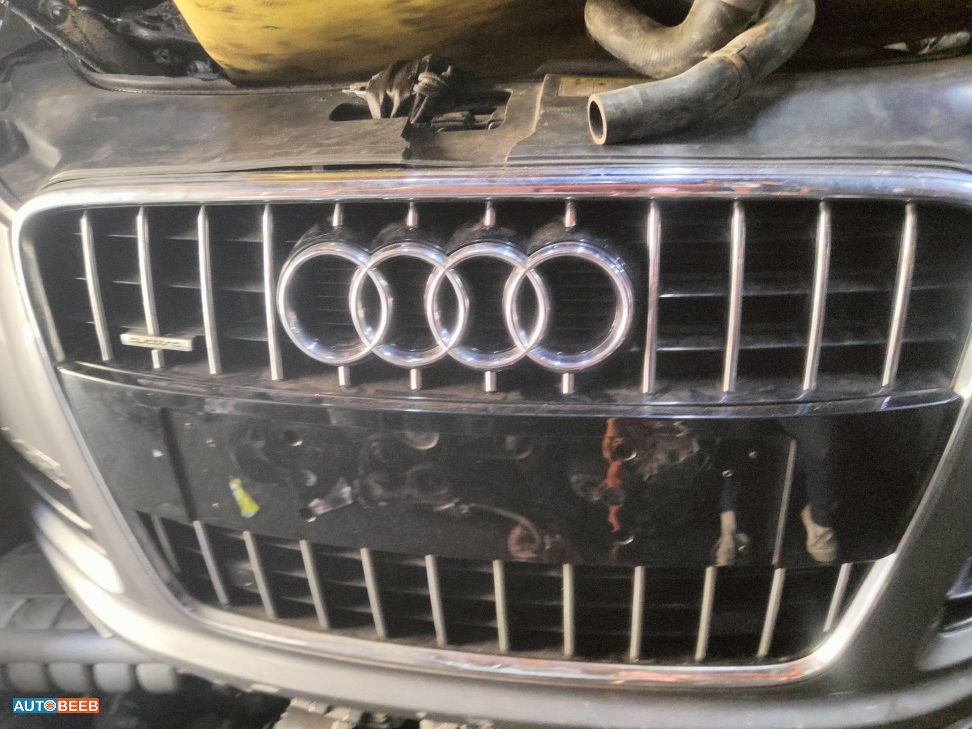 Body  Grilles Audi Q7