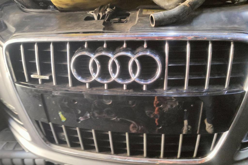 Body  Grilles Audi Q7