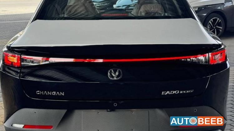 شانجان  2026