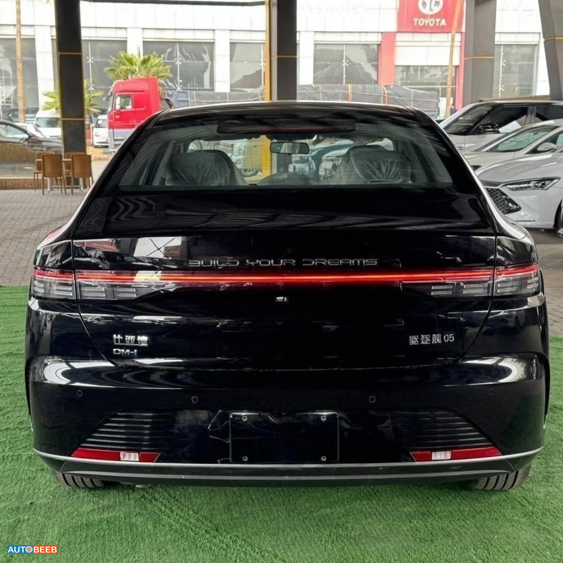بي واي دي  2025