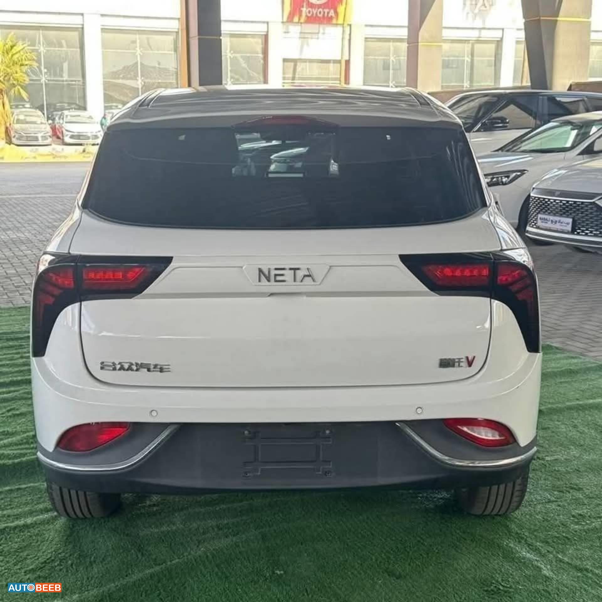 Neta V 2022
