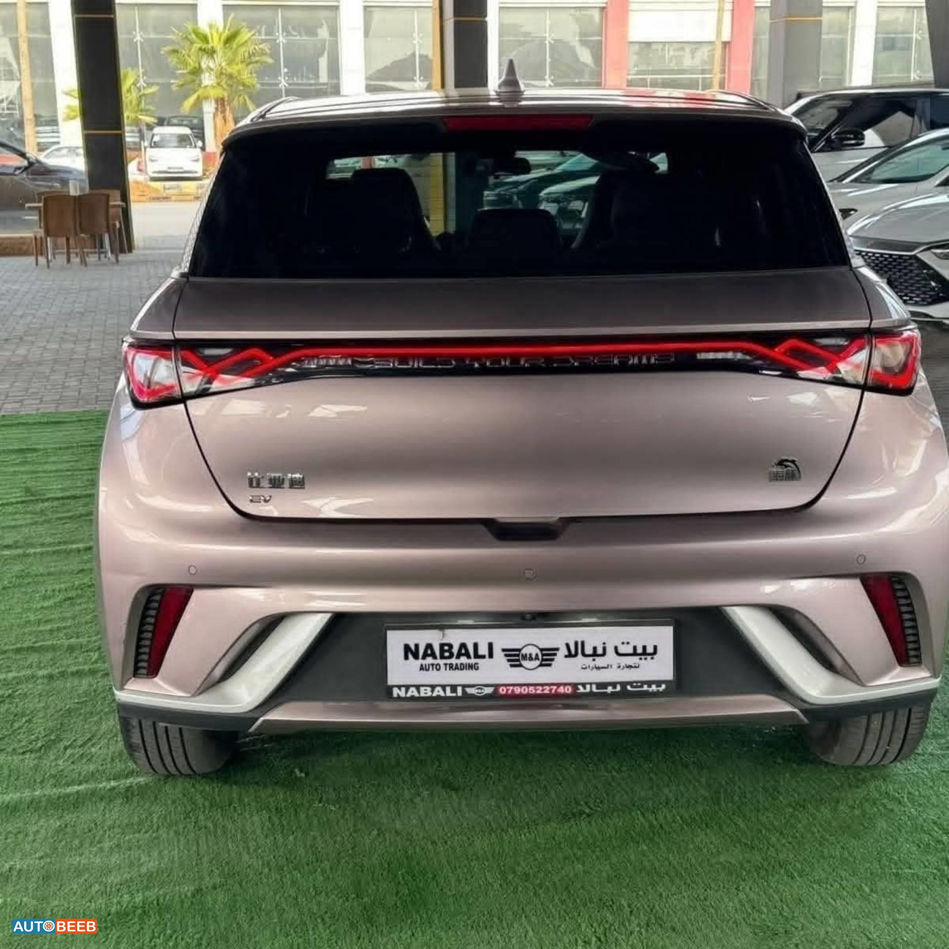 بي واي دي  2022