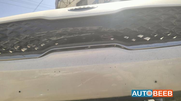 Body  Grilles KIA Niro