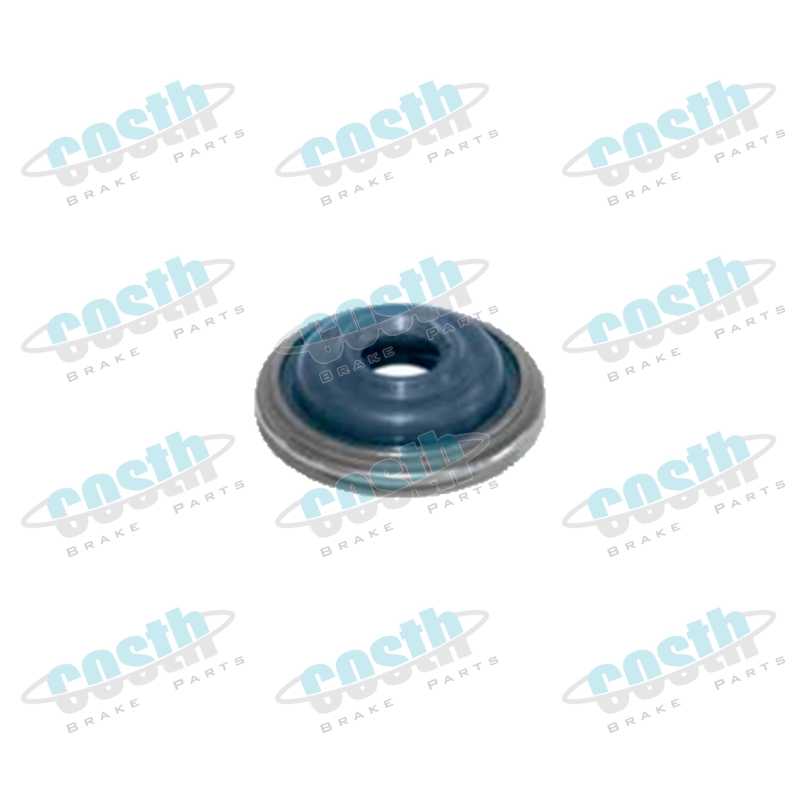 Brake Anchor Plunger Seal 1205C1667