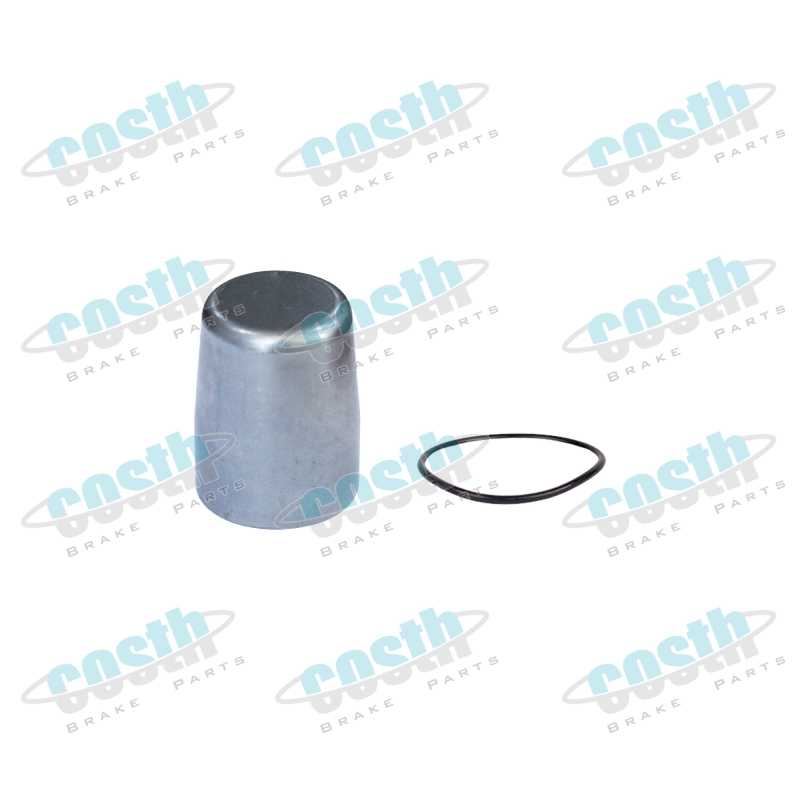 Brake Adjuster Shaft Cover Kit VOLVO Truck 272904