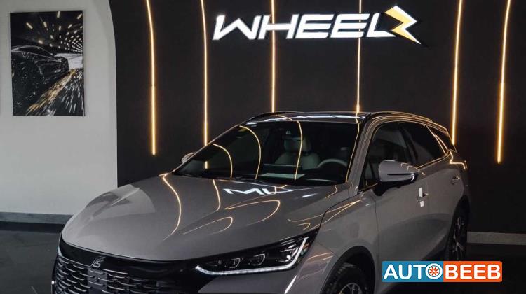 BYD  2025