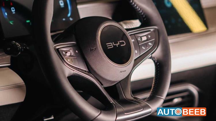 BYD  2025