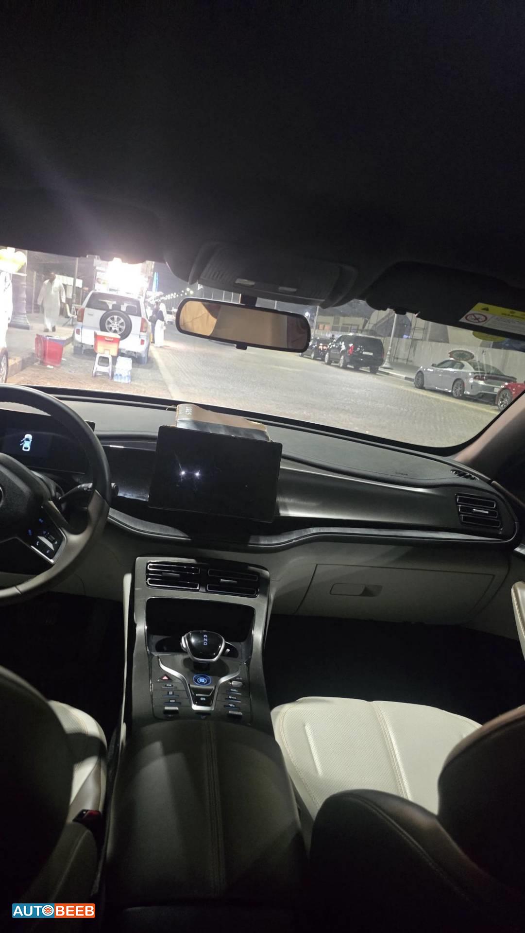 بي واي دي كين 2024