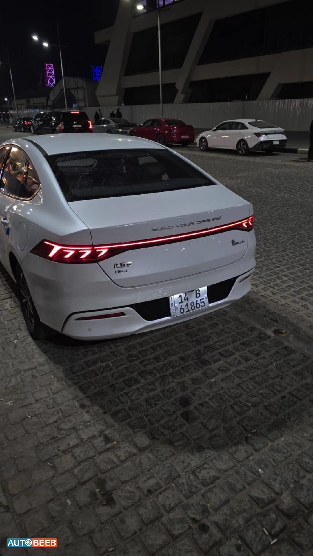 بي واي دي كين 2024