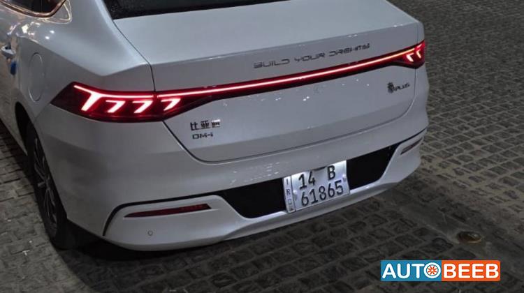 بي واي دي كين 2024