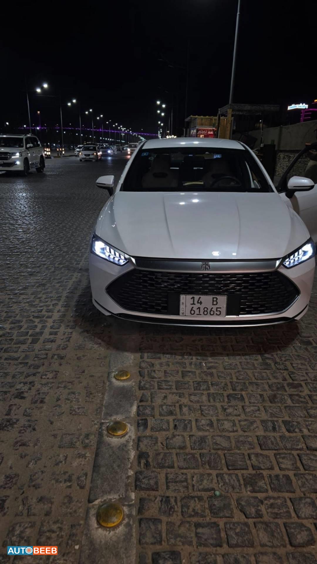 بي واي دي كين 2024