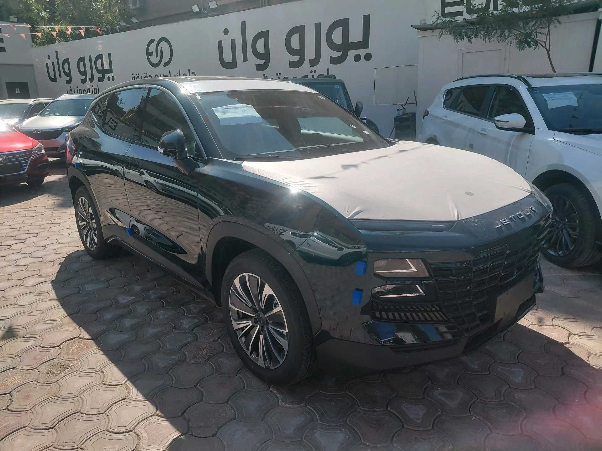 جيتور داشينج 2026